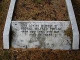 image of grave number 81749